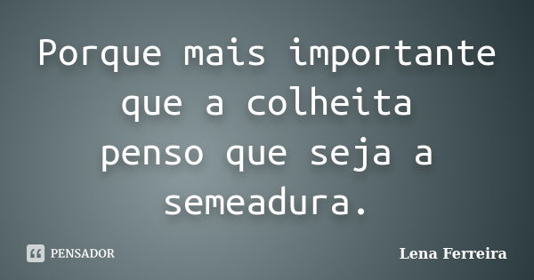 Porque mais importante que a colheita penso que seja a semeadura.... Frase de Lena Ferreira.