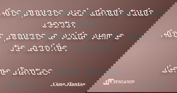 Aos poucos vai dando tudo certo. Aos poucos a vida vem e te acolhe. Lene Dantas... Frase de Lene Dantas.