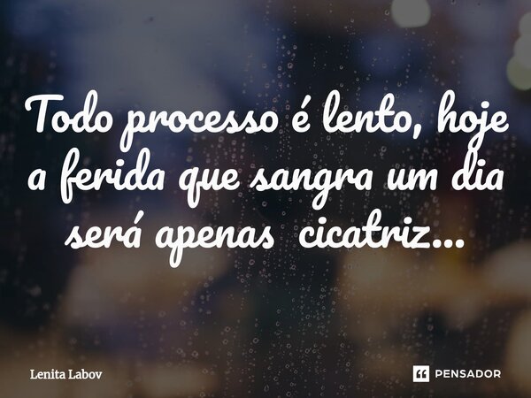 ⁠Todo processo é lento, hoje a ferida que sangra um dia será apenas cicatriz...... Frase de Lenita Labov.