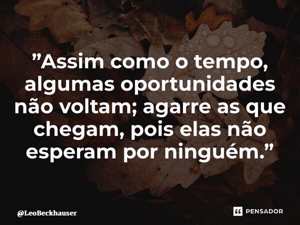 ⁠⁠”Assim como o tempo, algumas oportunidades não voltam; agarre as que chegam, pois elas não esperam por ninguém.”... Frase de LeoBeckhauser.