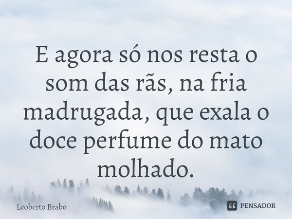 ⁠E agora só nos resta o som das rãs, na fria madrugada, que exala o doce perfume do mato molhado.... Frase de Leoberto Brabo.