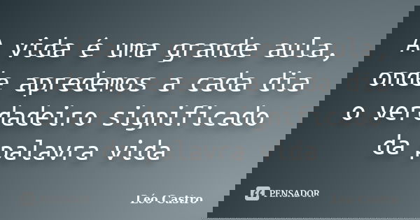 A vida é uma grande aula, onde apredemos a cada dia o verdadeiro significado da palavra vida... Frase de Léo Castro.