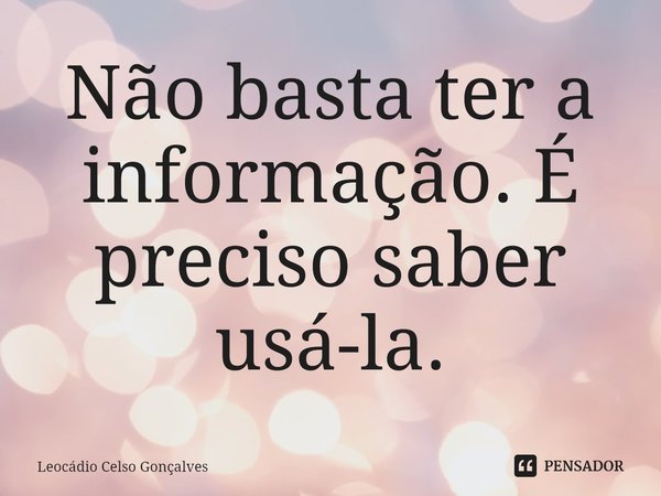 ⁠Não basta ter a informação. É preciso saber usá-la.... Frase de Leocádio Celso Gonçalves.