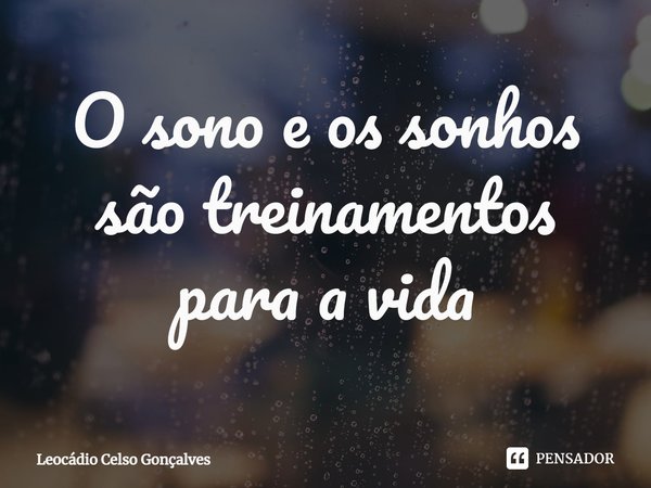 ⁠O sono e os sonhos são treinamentos para a vida... Frase de Leocádio Celso Gonçalves.