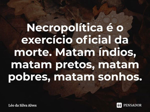 ⁠Necropolítica é o exercício oficial da morte. Matam índios, matam pretos, matam pobres, matam sonhos.... Frase de Léo da Silva Alves.