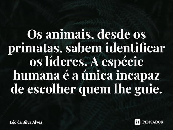 ⁠Os animais, desde os primatas, sabem identificar os líderes. A espécie humana é a única incapaz de escolher quem lhe guie.... Frase de Léo da Silva Alves.