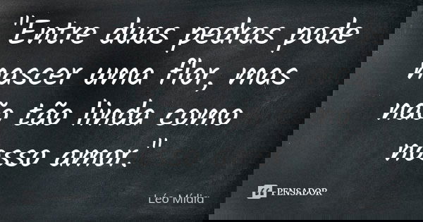 "Entre duas pedras pode nascer uma flor, mas não tão linda como nosso amor."... Frase de Léo Mídia.