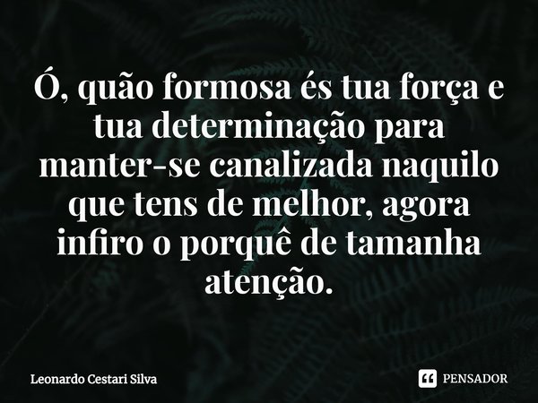 Ó, quão formosa és tua força e tua determinação para manter-se canalizada naquilo que tens de melhor, agora infiro o porquê de tamanha atenção.... Frase de Leonardo Cestari Silva.