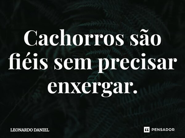 ⁠Cachorros são fiéis sem precisar enxergar.... Frase de Leonardo Daniel.