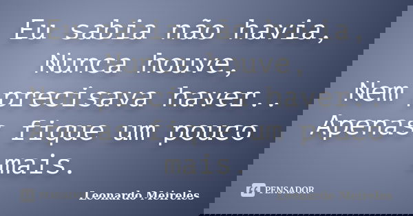 Eu sabia não havia, Nunca houve, Nem precisava haver.. Apenas fique um pouco mais.... Frase de Leonardo Meireles.