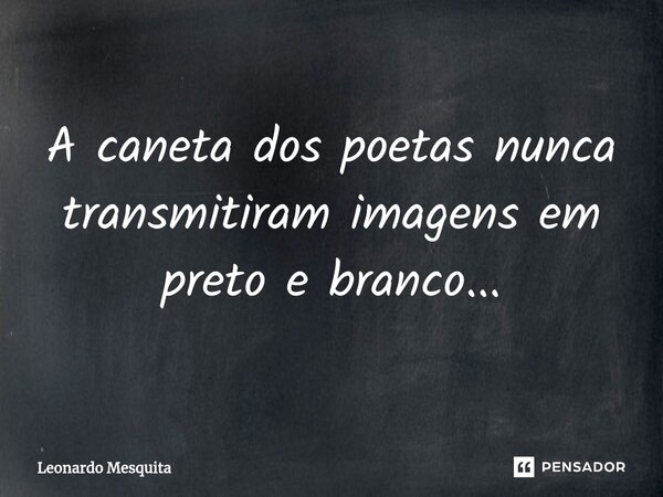 ⁠A caneta dos poetas nunca transmitiram imagens em preto e branco...... Frase de Leonardo Mesquita.