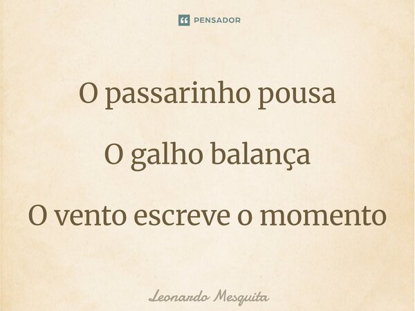 ⁠O passarinho pousa O galho balança O vento escreve o momento... Frase de Leonardo Mesquita.