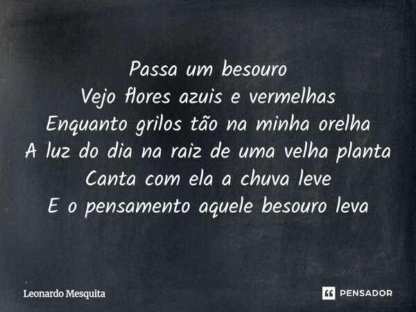 ⁠Passa um besouro Vejo flores azuis e vermelhas Enquanto grilos tão na minha orelha A luz do dia na raiz de uma velha planta Canta com ela a chuva leve E o pens... Frase de Leonardo Mesquita.