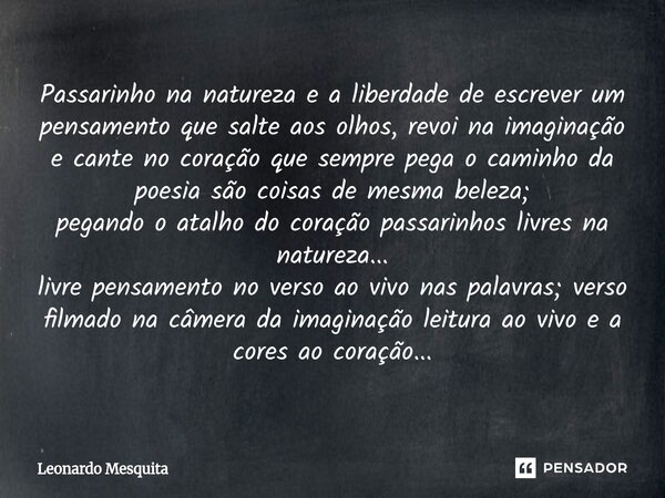 ⁠Passarinho na natureza e a liberdade de escrever um pensamento que salte aos olhos, revoi na imaginação e cante no coração que sempre pega o caminho da poesia ... Frase de Leonardo Mesquita.