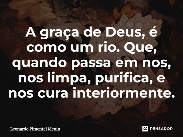 A graça de Deus, é como um rio. Que, quando passa em nos, nos limpa, purifica, e nos cura interiormente.⁠... Frase de Leonardo Pimentel Menin.