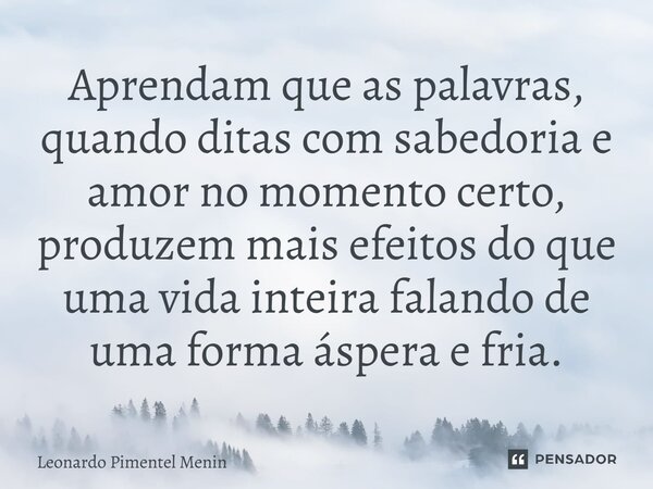 Aprendam que as palavras, quando ditas com sabedoria e amor no momento certo, produzem mais efeitos do que uma vida inteira falando de uma forma áspera e fria.⁠... Frase de Leonardo Pimentel Menin.