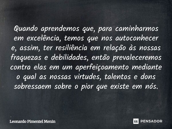 Quando aprendemos que, para caminharmos em excelência, temos que nos autoconhecer e, assim, ter resiliência em relação às nossas fraquezas e debilidades, então ... Frase de Leonardo Pimentel Menin.