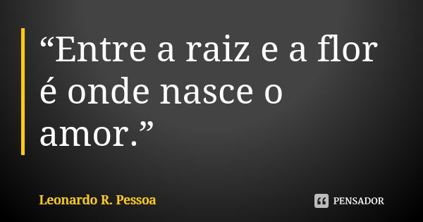 “Entre a raiz e a flor é onde nasce o amor.”... Frase de Leonardo R. Pessoa.