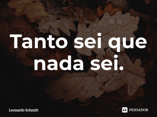 ⁠Tanto sei que nada sei.... Frase de Leonardo Schmitt.