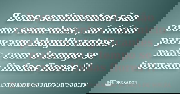 Bons sentimentos são como sementes , ao inicio parecem isignificantes , mais com o tempo se tornam lindas flores !!... Frase de LEONARDO SCORZA DE SOUZA.