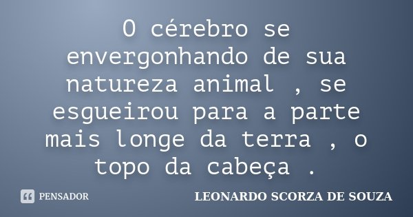 O cérebro se envergonhando de sua natureza animal , se esgueirou para a parte mais longe da terra , o topo da cabeça .... Frase de Leonardo Scorza de Souza.