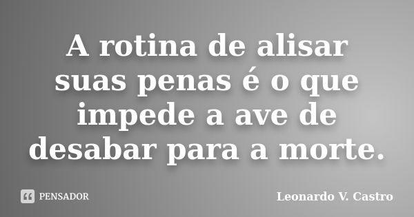 A rotina de alisar suas penas é o que impede a ave de desabar para a morte.... Frase de Leonardo V. Castro.