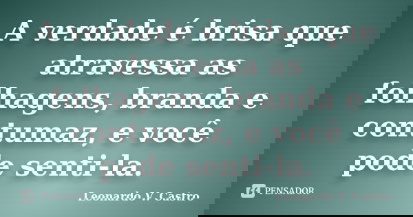 A verdade é brisa que atravessa as folhagens, branda e contumaz, e você pode senti-la.... Frase de Leonardo V. Castro.