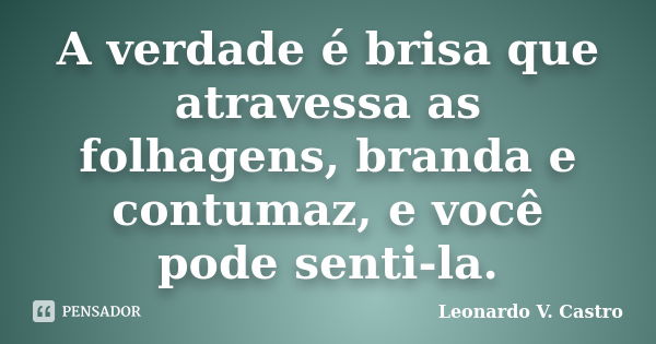 A verdade é brisa que atravessa as folhagens, branda e contumaz, e você pode senti-la.... Frase de Leonardo V. Castro.