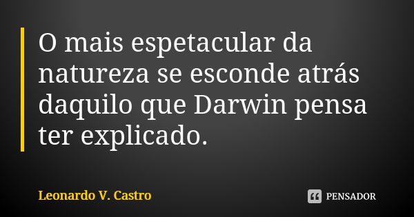 O mais espetacular da natureza se esconde atrás daquilo que Darwin pensa ter explicado.... Frase de Leonardo V. Castro.