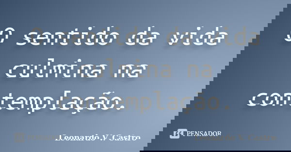 O sentido da vida culmina na contemplação.... Frase de Leonardo V. Castro.