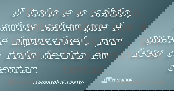 O tolo e o sábio, ambos sabem que é quase impossível, por isso o tolo hesita em tentar.... Frase de Leonardo V. Castro.