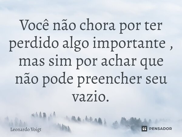⁠Você não chora por ter perdido algo importante , mas sim por achar que não pode preencher seu vazio.... Frase de Leonardo Voigt.
