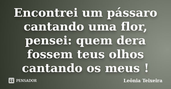 Encontrei um pássaro cantando uma flor, pensei: quem dera fossem teus olhos cantando os meus !... Frase de Leônia Teixeira.