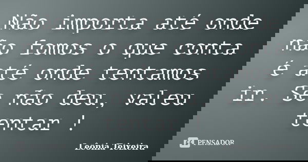 Não importa até onde não fomos o que conta é até onde tentamos ir. Se não deu, valeu tentar !... Frase de leônia Teixeira.
