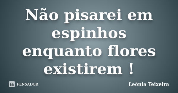 Não pisarei em espinhos enquanto flores existirem !... Frase de Leônia Teixeira.