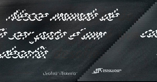 Nesse mundo de cão ser gato é um desafio.... Frase de leônia teixeira.