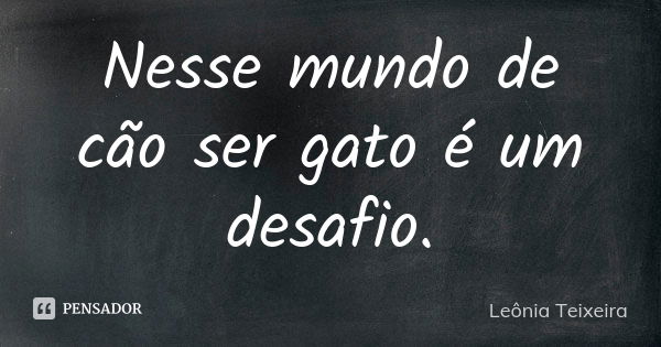 Nesse mundo de cão ser gato é um desafio.... Frase de leônia teixeira.