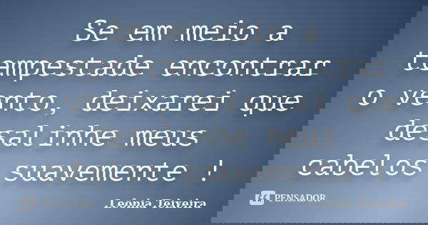 Se em meio a tempestade encontrar o vento, deixarei que desalinhe meus cabelos suavemente !... Frase de Leônia Teixeira.
