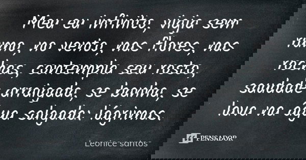 Meu eu infinito, viaja sem rumo, no vento, nas flores, nas rochas, contempla seu rosto, saudade arraigada, se banha, se lava na água salgada: lágrimas.... Frase de Leonice santos.