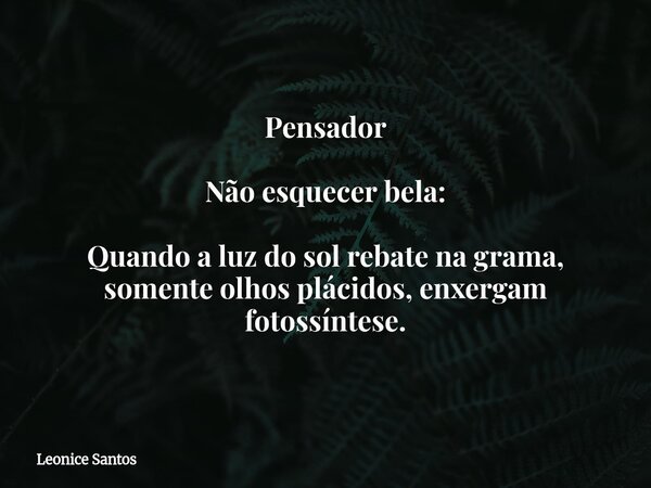 Pensador Não esquecer bela: Quando a luz do sol rebate na grama, somente olhos plácidos, enxergam fotossíntese.... Frase de Leonice Santos.