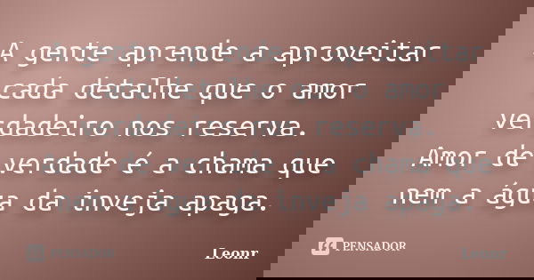 A gente aprende a aproveitar cada detalhe que o amor verdadeiro nos reserva. Amor de verdade é a chama que nem a água da inveja apaga.... Frase de Leonr.