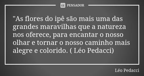 "As flores do ipê são mais uma das grandes maravilhas que anatureza nos oferece, para encantar o nosso olhar e tornar o nosso caminho mais alegre e colorid... Frase de Léo Pedacci.