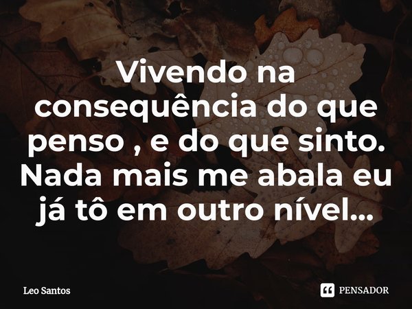 ⁠Vivendo na consequência do que penso e do que sinto. Nada mais me abala, eu já tô em outro nível...... Frase de Leo Santos.