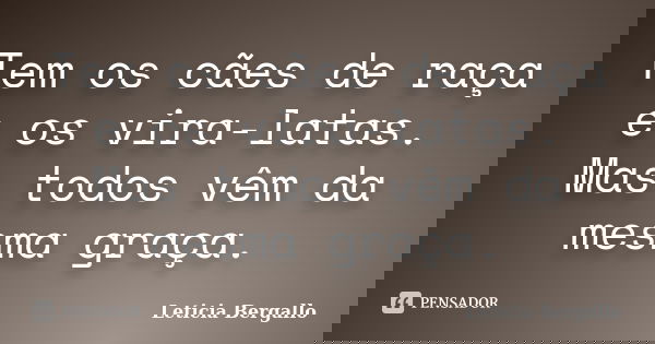 Tem os cães de raça e os vira-latas. Mas todos vêm da mesma graça.... Frase de Leticia Bergallo.