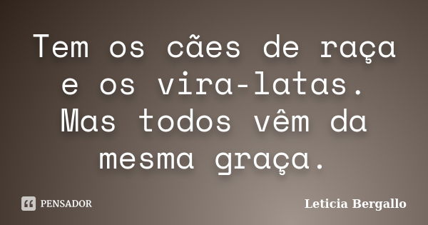 Tem os cães de raça e os vira-latas. Mas todos vêm da mesma graça.... Frase de Leticia Bergallo.