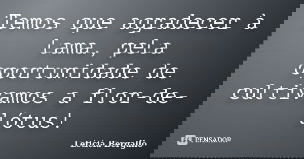 Temos que agradecer à lama, pela oportunidade de cultivamos a flor-de-lótus!... Frase de Leticia Bergallo.