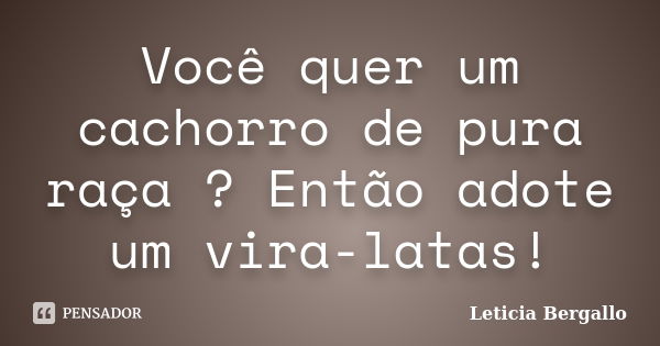 Você quer um cachorro de pura raça ? Então adote um vira-latas!... Frase de Leticia Bergallo.