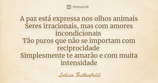 A paz está expressa nos olhos animais Seres irracionais, mas com amores incondicionais Tão puros que não se importam com reciprocidade Simplesmente te amarão e ... Frase de Letícia Butterfield.