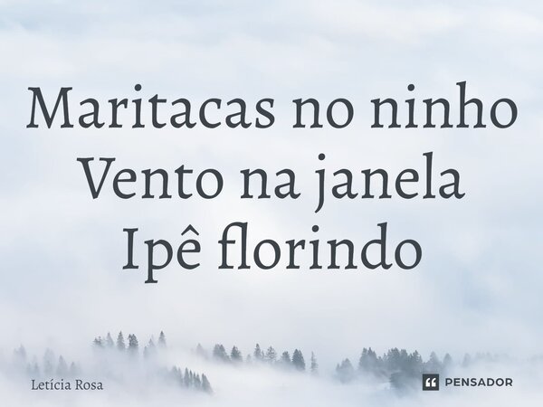 ⁠Maritacas no ninho Vento na janela Ipê florindo... Frase de Letícia Rosa.