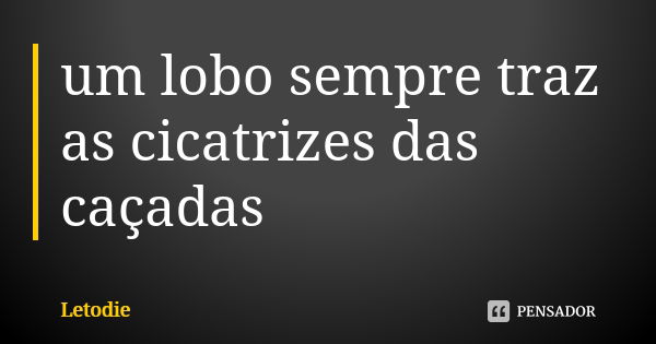 um lobo sempre traz as cicatrizes das caçadas... Frase de Letodie.